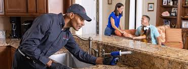 Pest Control for Hotels in Azle, TX